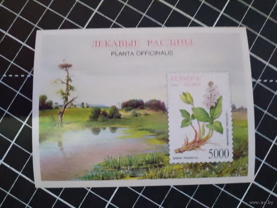 Лекарственные растения. 1996. Блок