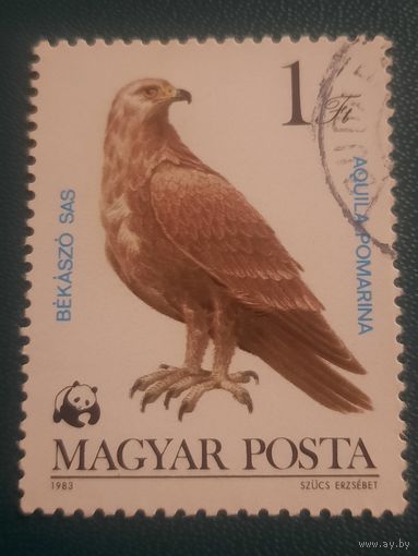Венгрия 1983. Фауна. Хищные птицы. Aquila Pomarina. Марка из серии
