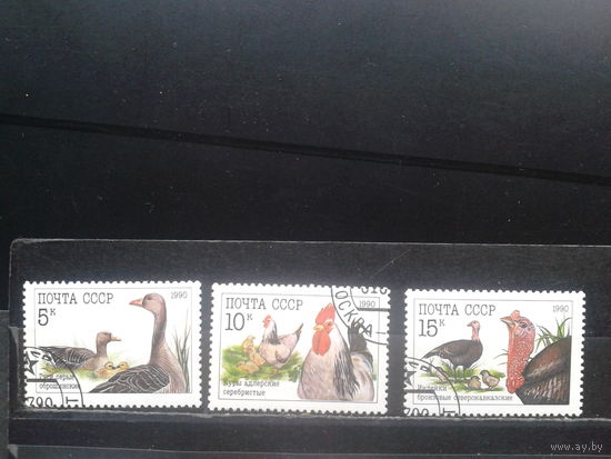 1990. Домашняя птица, полная серия