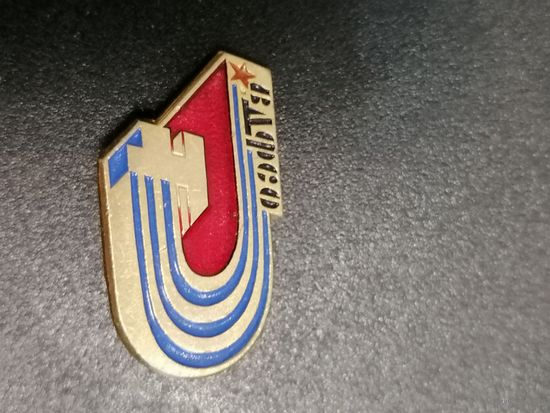 Значок ВДФСО