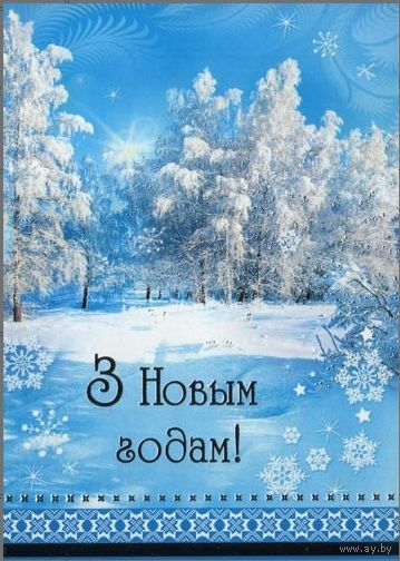 Беларусь 2009 ДМПК Новый год