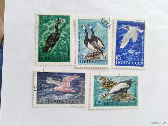 СССР 1972 5 м птицы