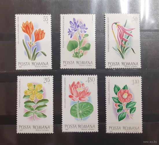 Румыния. 1980 год. Флора. Цветы (295)