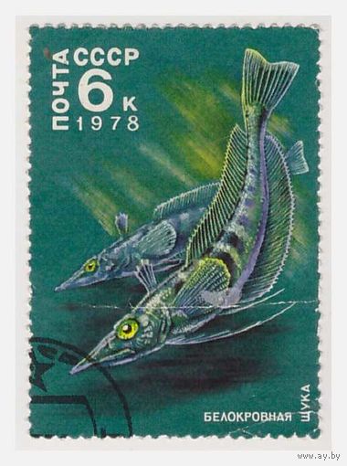 СССР 1978 Белокровная щука