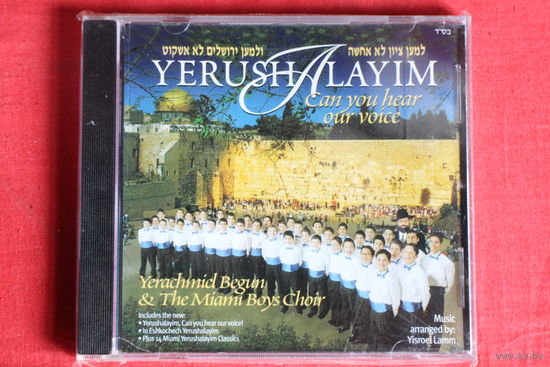Yerachmiel Begun & The Miami Boys Choir - Can You Here Our Voice (2001, CD)