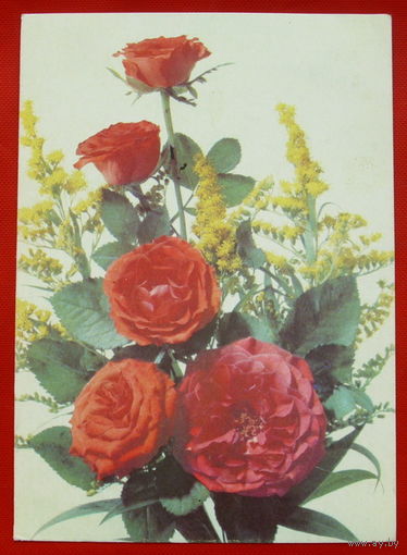 Поздравительная. Подписанная. 1990 года. Дергилёва. # 224.
