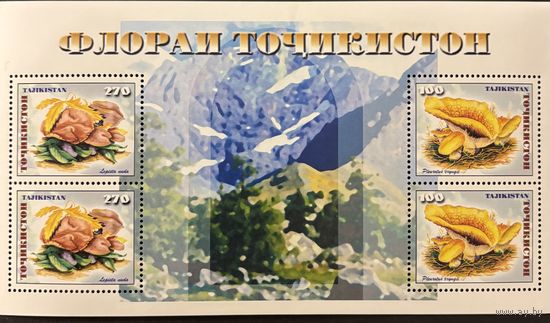 Марки Таджикистан 1999 Грибы блок MNH