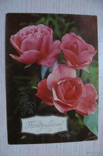 Костенко Г., Зайцев Л., Поздравляю! 1978, чистая.