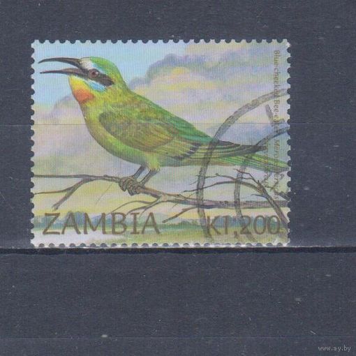 [409] Замбия 2002. Фауна.Птицы.Золотистая щурка. Гашеная марка.