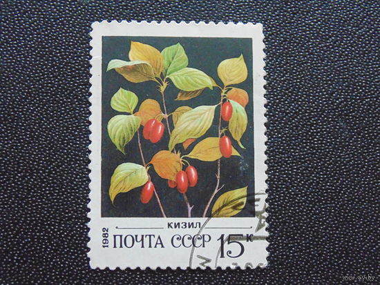 СССР 1982 г.