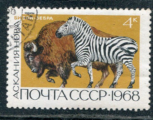СССР 1968.. Заповедник Аскания Нова. Бизон и зебра