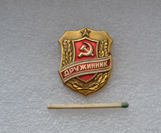 Дружинник.