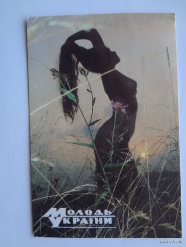 Календарик 1991 г.  Молодежь Украины.