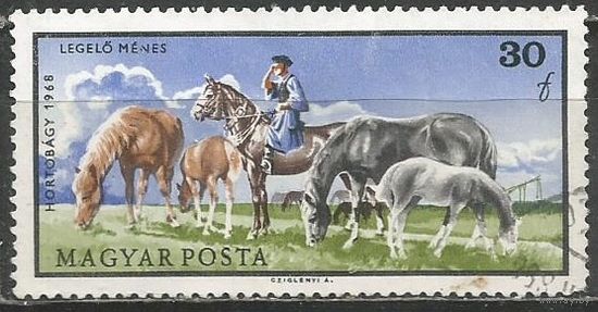 Венгрия. Коневодство. 1968г. Mi#2423..