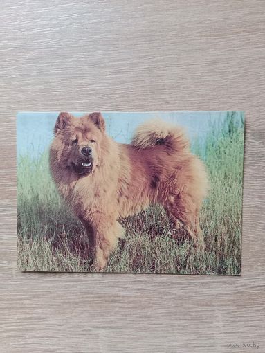 Календарик 1993