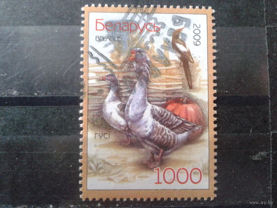 2009 Индюки