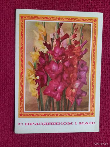 С Праздником 1 Мая! Костенко, Пармеев 1975 г. Чистая.
