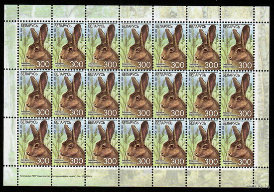 Беларусь. 2008. Стандарт. Заяц-русак (300р) (з.273-2008) Лист