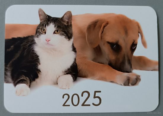 Друзья. Кот и собака. Календарик, 2025, глянец