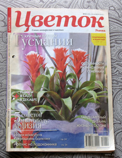 Цветок номер 22 2012