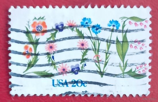 США, 1982 г., цветы, любовь
