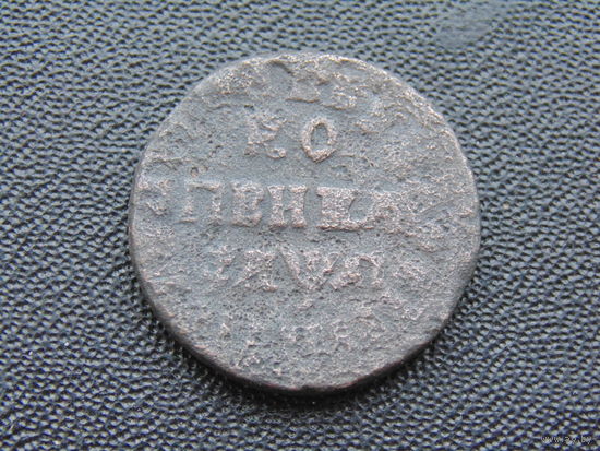Копейка Петра I 1714 г.