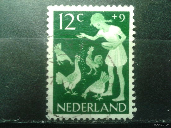 Нидерланды 1962 Птичник