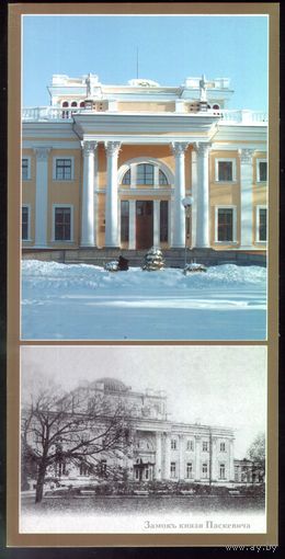 Гомель Замок князя