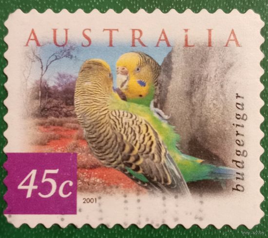 Австралия 2001. Фауна. Попугаи. Budgerigar