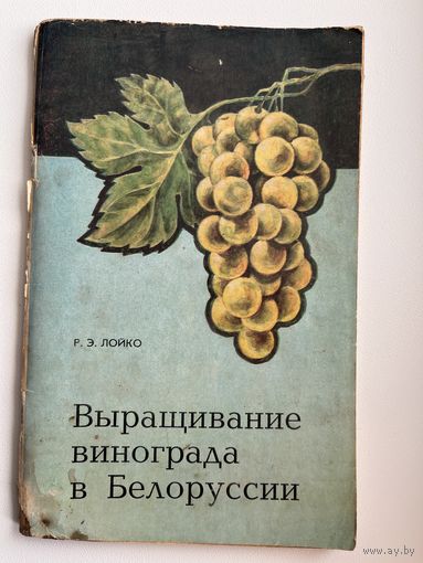 Ромуальд Лойко Выращивание винограда в Белоруссии