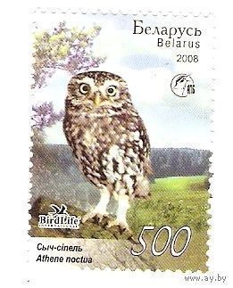 Марка РБ - ДОМОВОЙ СЫЧ- 2008 год