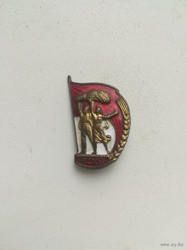 Знак ВСХВ. С рубля.