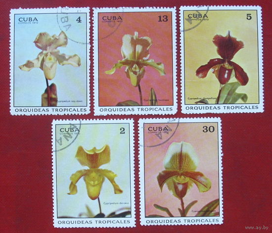 Куба. Орхидеи. ( 5 марок ) 1972 года. 1-9.