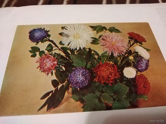Открытка 1977г.