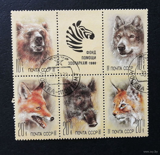 СССР 1988 г. Животные. Фонд помощи Зоопаркам. Фауна. Сцепка, полная серия из 5 марок #0137-Ф1P28