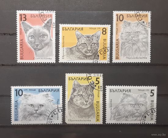 Болгария. Фауна. Кошки (6 марок)