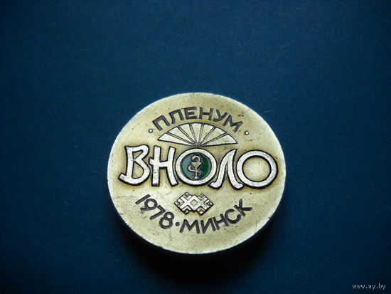 Значок Пленум ВНОЛО. Минск. 1978 г.