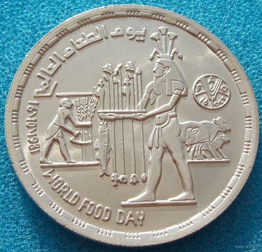 Египет. 1 фунт 1981 года  KM#523  "Всемирный день продовольствия"  Тираж: 50.000 шт