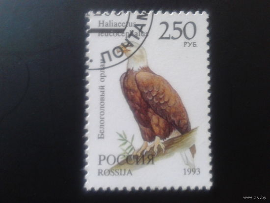 Россия 1993 орлан с клеем без наклейки