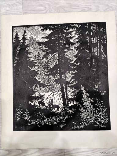 Линогравюра ,, Беловежская пушча" , Садин В. С.