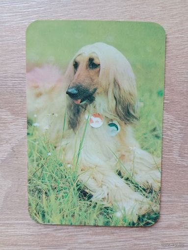 Календарик 1991