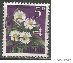 Новая Зеландия. Цветы. Целизия. 1960г. Mi#398.