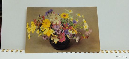Открытка, 1984г. Чистая. Композиция из цветов. Фото Е. Савалова. 14
