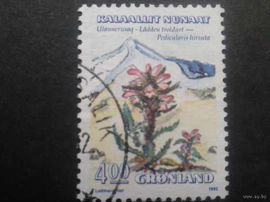 Дания Гренландия 1992 цветы