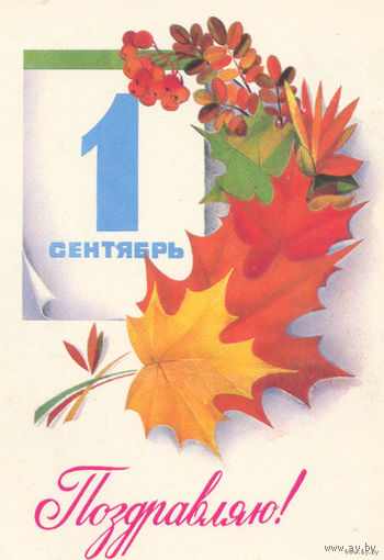 Почтовая катрочка СССР.1980  1 сентября