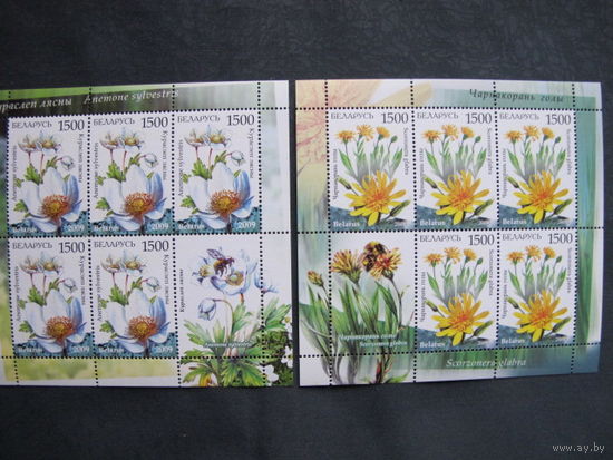 Марки РБ ##786-787. 2 МЛ Чернокорень голый, Кураслеп лесной