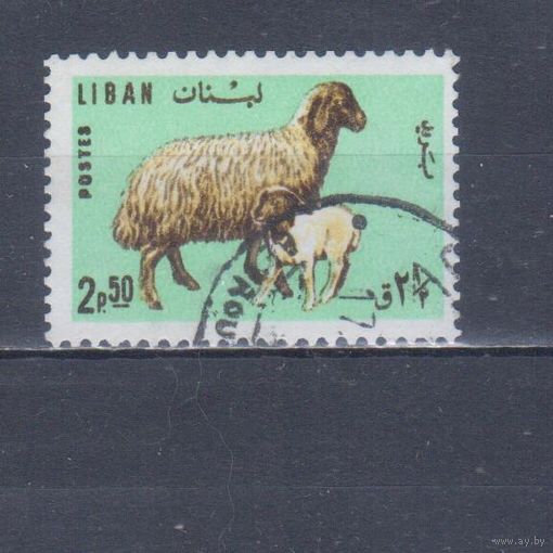 [750] Ливан 1965. Фауна.Домашние животные.Овца. Гашеная марка.