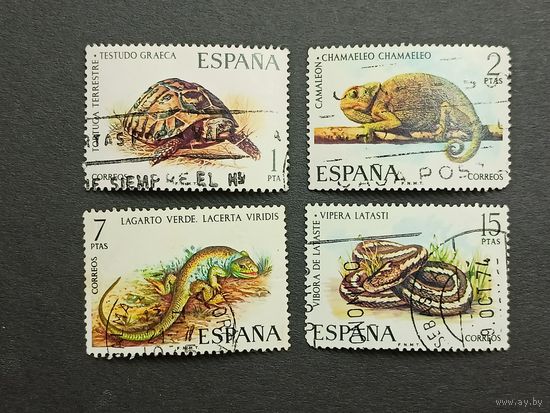 Испания 1974. Рептилии