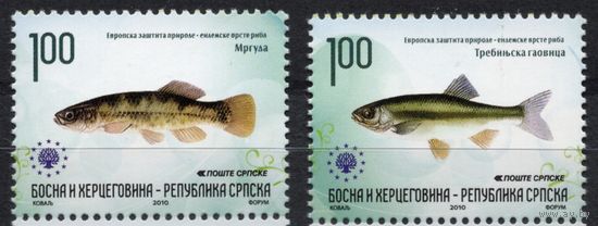Босния и Герцеговина 2010. Рыбы. 2 марки 512