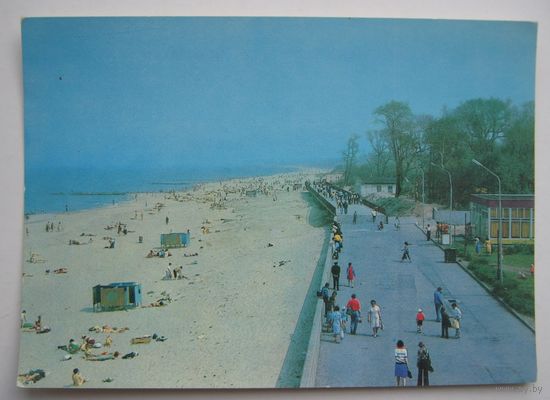 Почтовая  карточка. г. Зеленоградск. 1980 г.